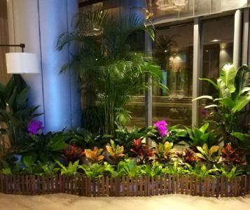 成都植物租赁——购物中心一角