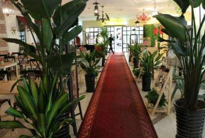 成都租植物——茶楼一角